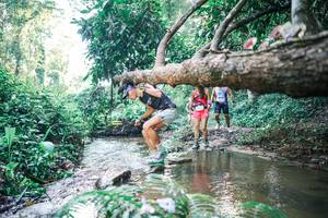 BIB: 
                            <button type="button" onclick="openModal(25433046)" class="btn btn-primary btn-sm float-right btn-popup" data-toggle="modal" data-target=".modal-high-quality">
                        <i class="fas fa-shopping-cart"></i> Add to Cart
                    </button>
                                            <button type="button" onclick="isThisMe(25433046, true)" class="btn btn-success btn-sm float-right btn-popup btn-isme hidden" data-toggle="tooltip" data-placement="bottom" title="นี่คือรูปของคุณใช่ไหม คลิกที่นี่เพื่อเอาเข้าอัลบั้ม">
                        <i class="fas fa-plus"></i> Add to album
                    </button>
                    <button type="button" onclick="isThisMe(25433046, false)" class="btn btn-warning btn-sm float-right btn-popup btn-isnotme hidden">
                        <i class="fas fa-ban"></i> Remove from album
                    </button>